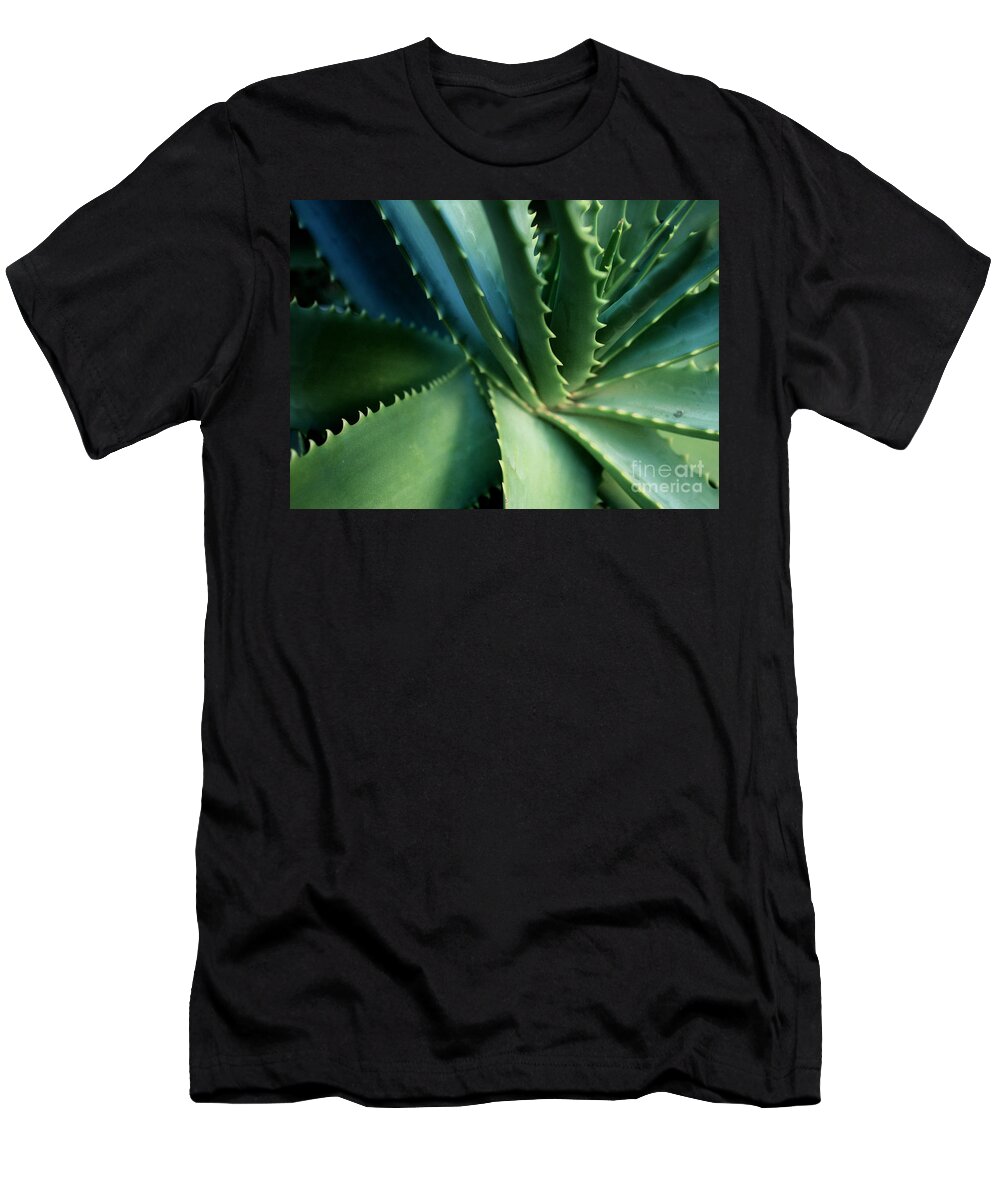 Plants T-Shirt featuring the photograph Swirl by Ellen Cotton