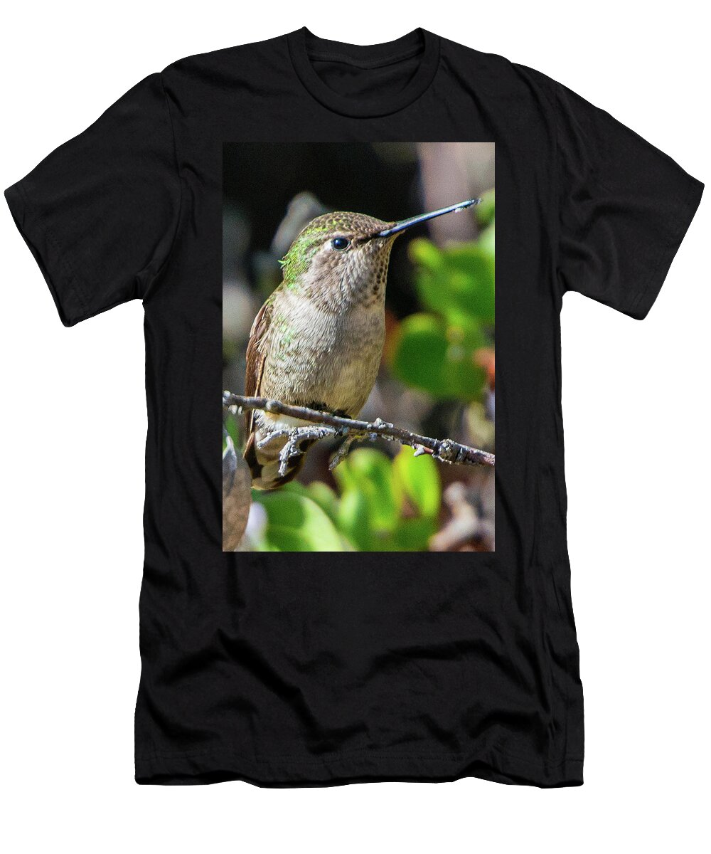 Bird T-Shirt featuring the photograph Taking A Break by Paul Johnson