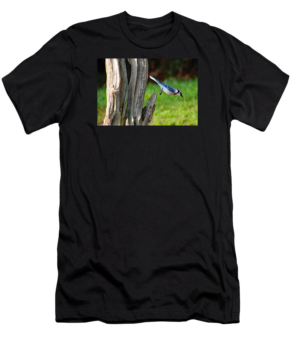 Nature T-Shirt featuring the photograph Taking a Dive by DB Hayes
