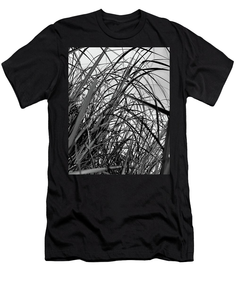 Abstract T-Shirt featuring the photograph Tangled Grass by Sue Capuano