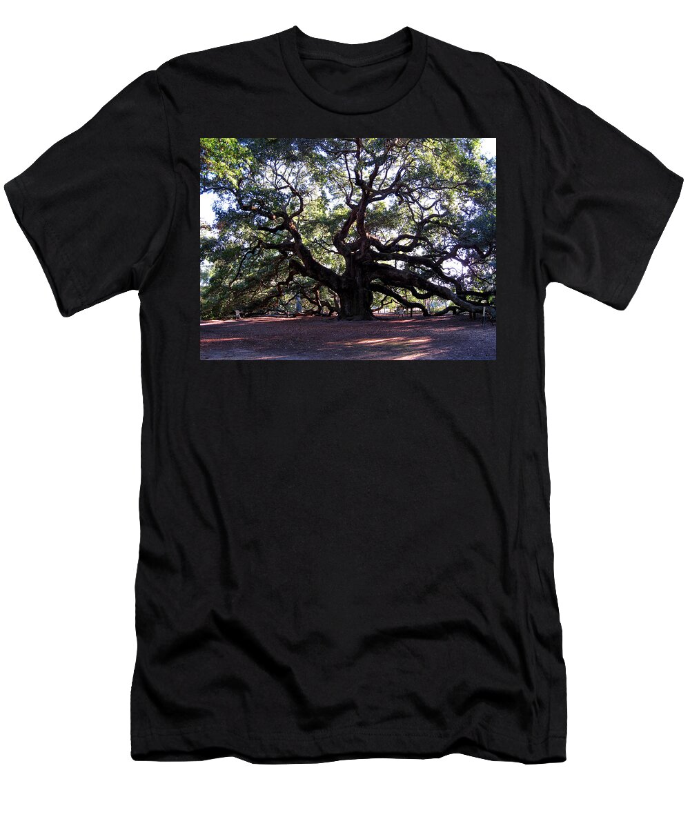 Angel Oak T-Shirt featuring the photograph The Angel Oak in Charleston SC by Susanne Van Hulst