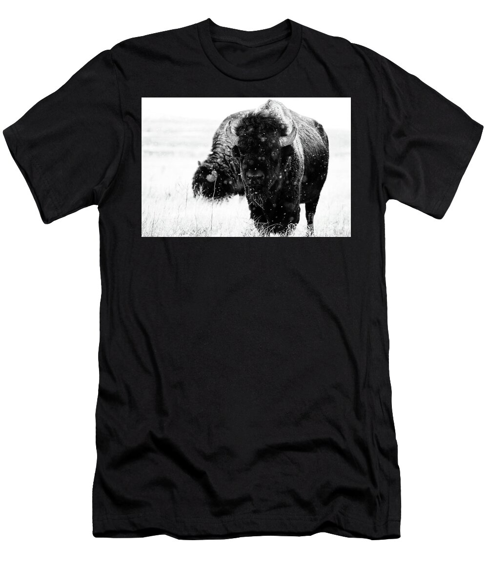 Buffalo T-Shirt featuring the photograph The Cold Brotherhood by Jim Garrison