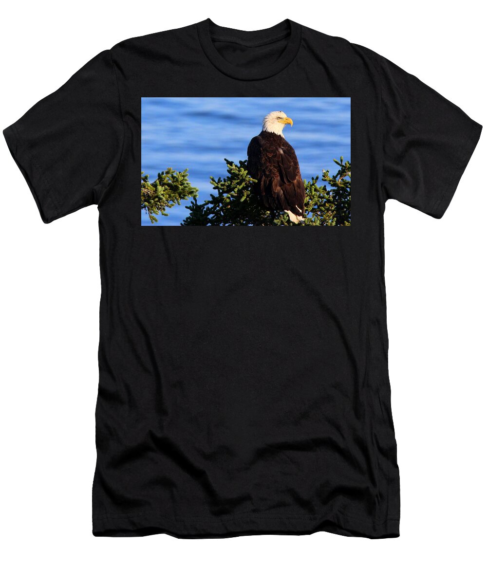 The Eagle Has Landed T-Shirt featuring the photograph The Eagle Has Landed by Suzanne DeGeorge