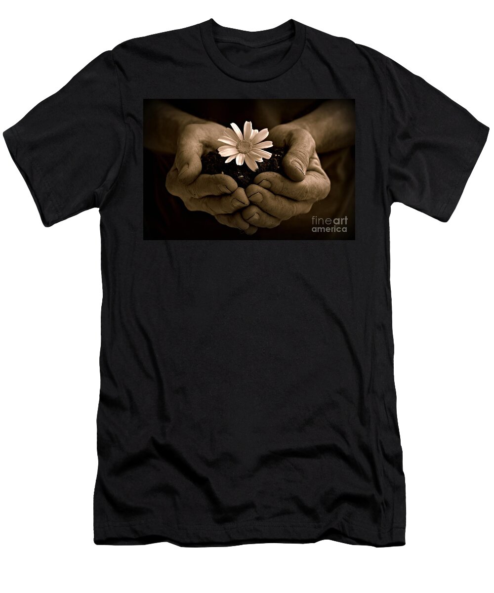 White Daisy T-Shirt featuring the photograph The Gift by Clare Bevan