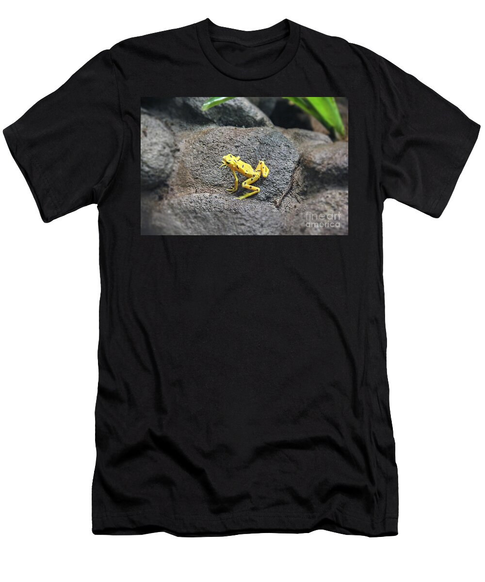 Golden Frog T-Shirt featuring the photograph The Golden Frog of Panama by Bob Hislop