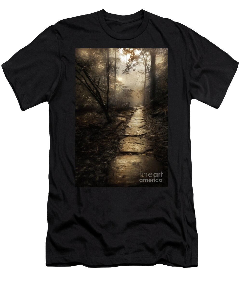 Path T-Shirt featuring the photograph The Golden Path by Lori Deiter