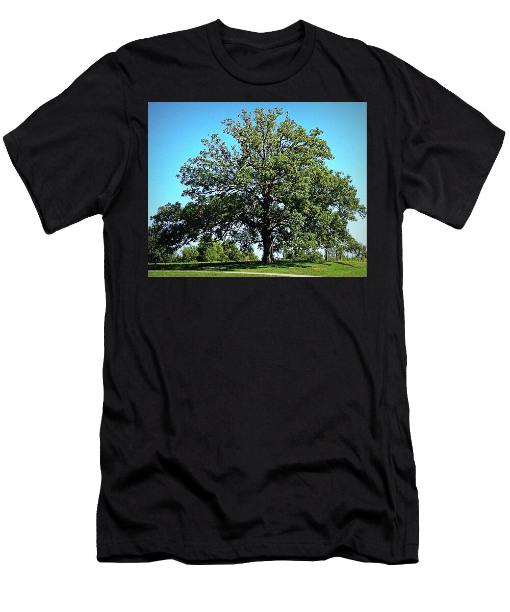 Tree T-Shirt featuring the photograph The Mighty Oak in Summer by Cricket Hackmann
