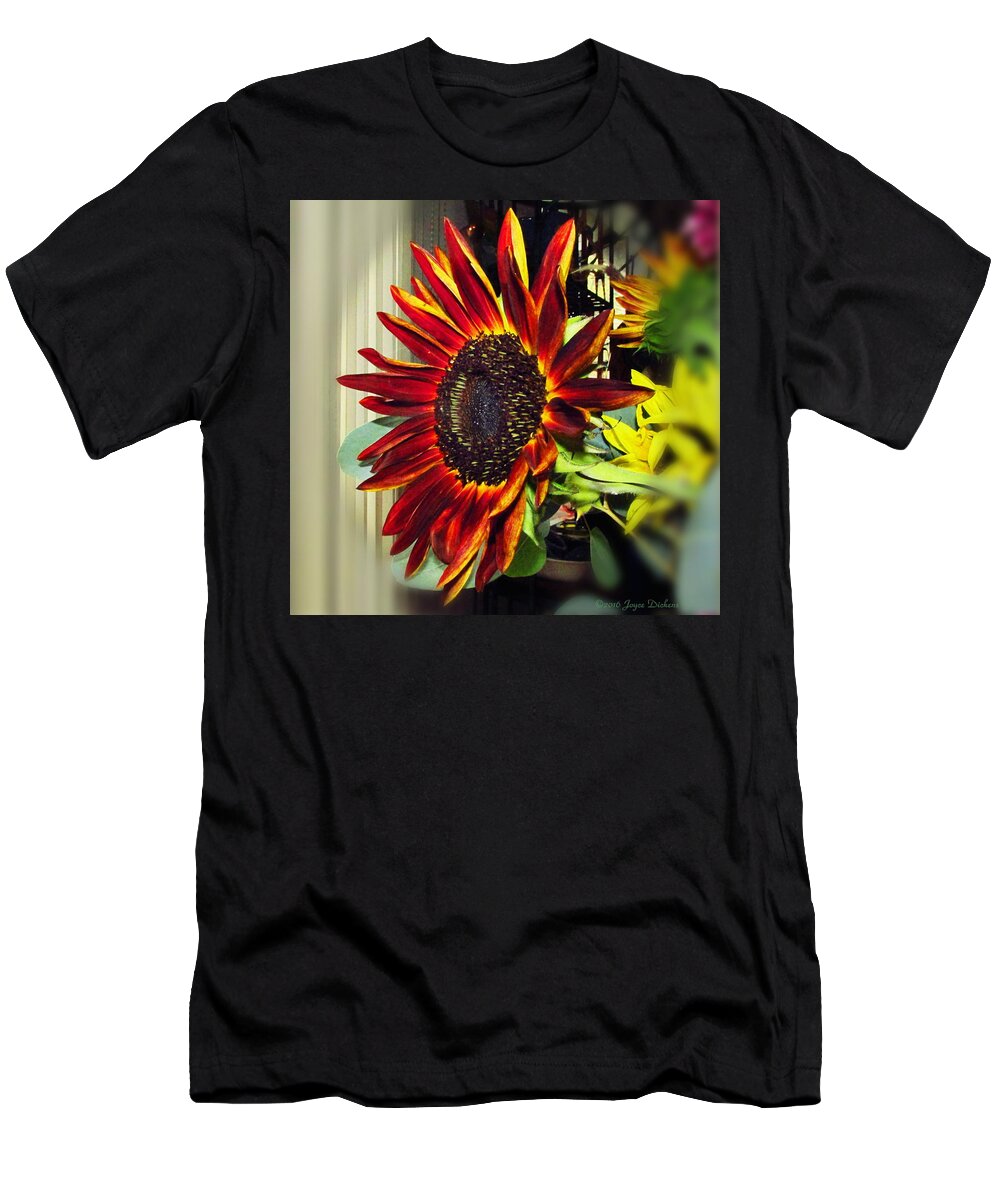 Sunflower T-Shirt featuring the photograph The Ultimate Sunflower by Joyce Dickens