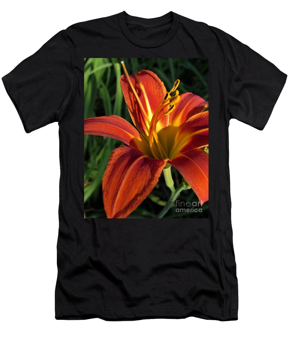 Summer T-Shirt featuring the photograph The Wild One by Pamela Clements