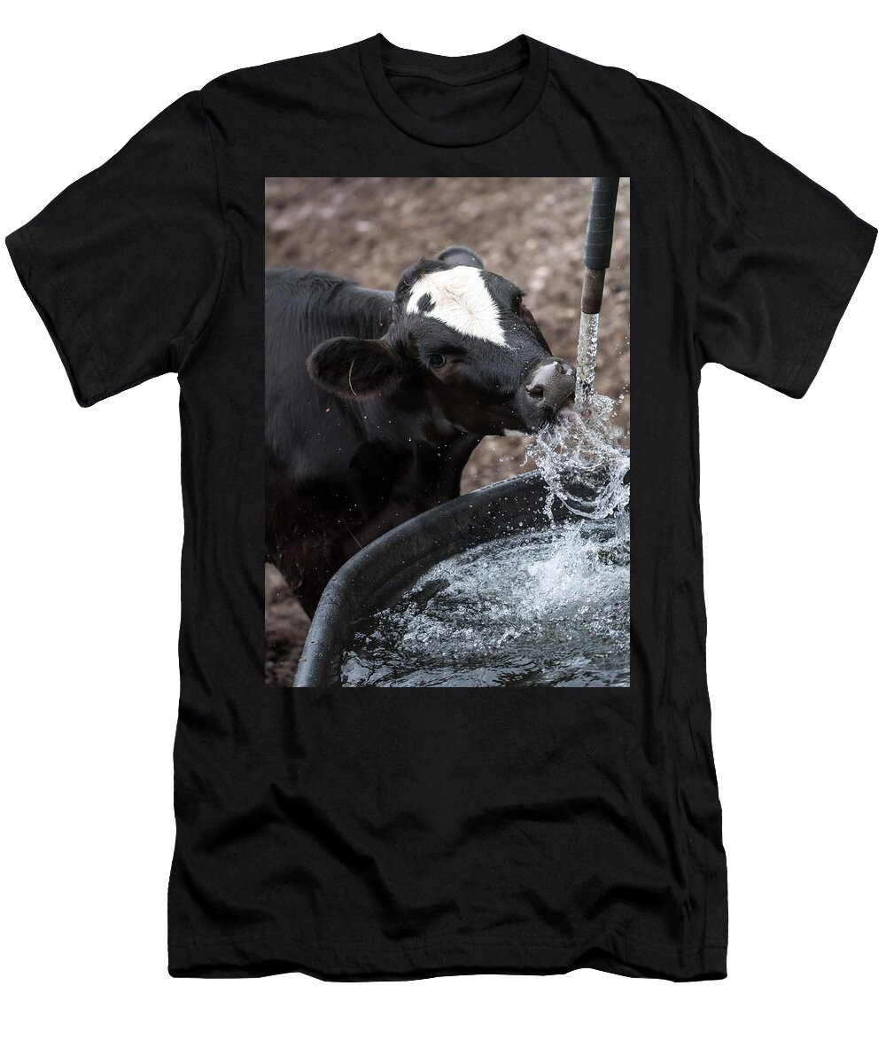 Cow T-Shirt featuring the photograph Thirsty Cow by Holden The Moment