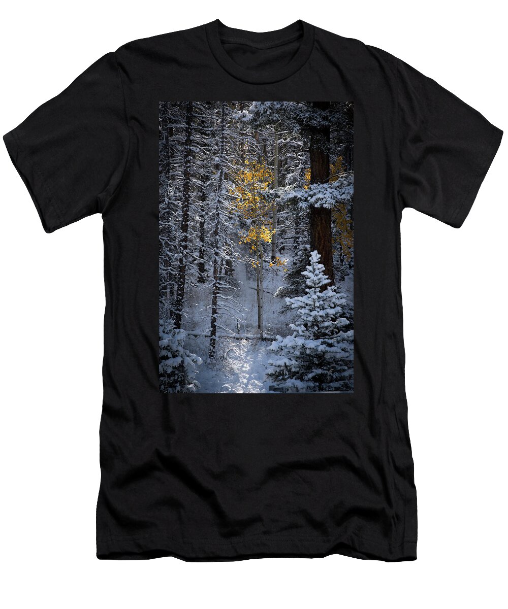 Aspen T-Shirt featuring the photograph This Little Light Of Mine by Ron Weathers