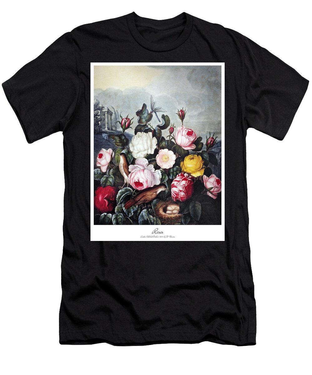 1805 T-Shirt featuring the photograph Thornton: Roses by Granger