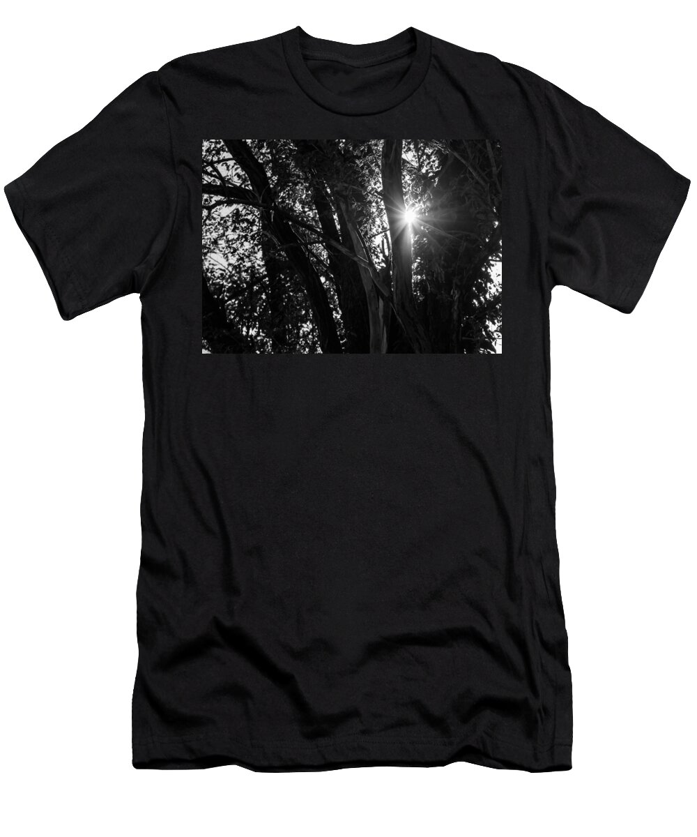 Trees T-Shirt featuring the photograph Through The Trees by Holden The Moment