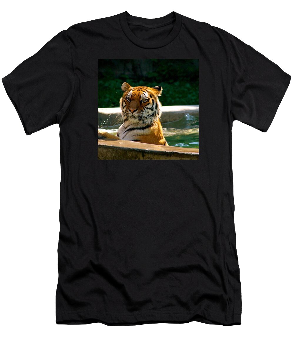 Tiger T-Shirt featuring the photograph Tiger Bath by Justin Connor