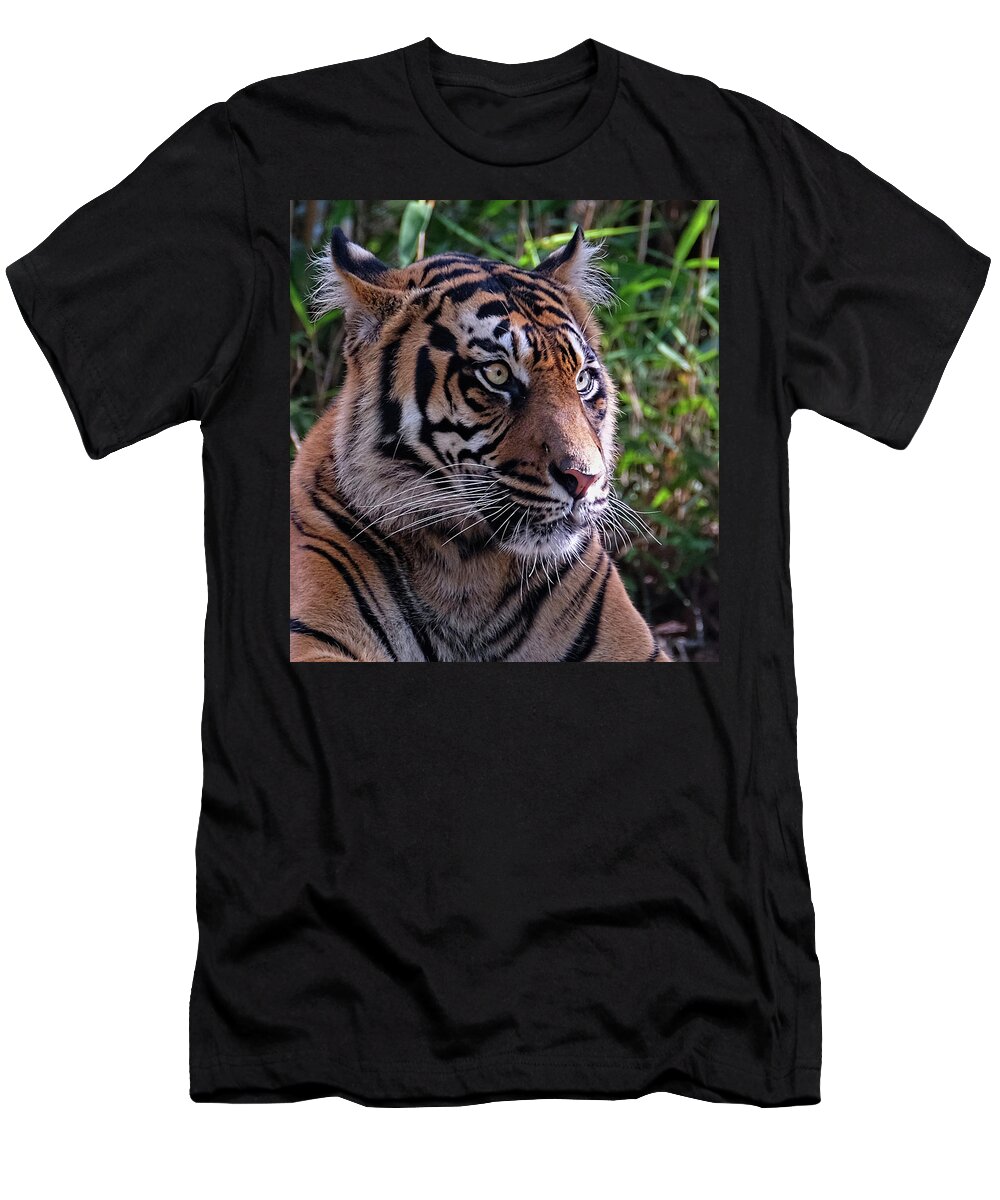 Tiger T-Shirt featuring the photograph Tiger profile close-up by Ronda Ryan
