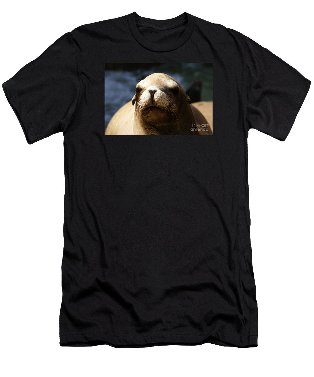 Eared Seal T-Shirt featuring the photograph To Bask in Royal Sun by Linda Shafer