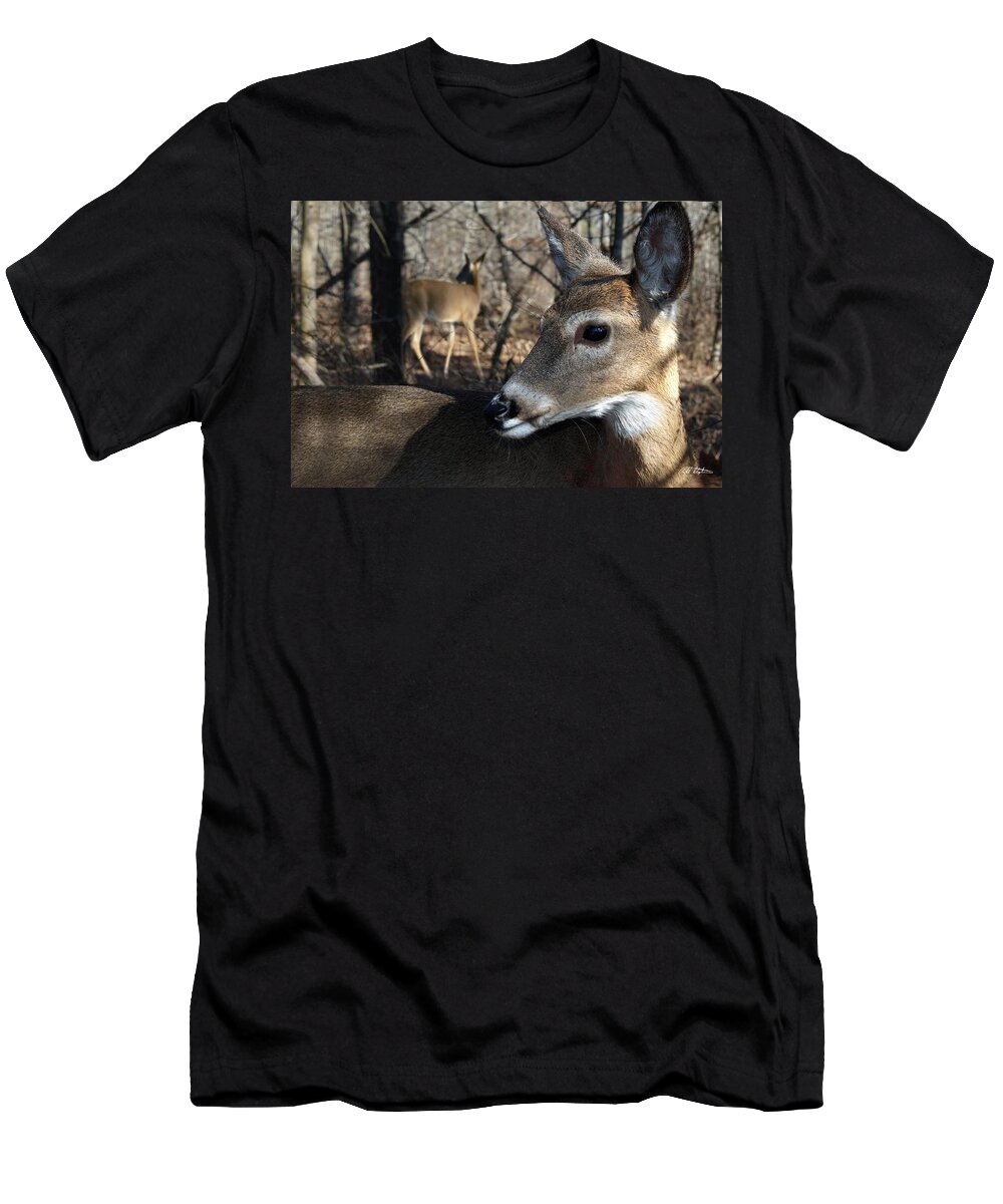 Deer T-Shirt featuring the photograph Too Cool by Bill Stephens