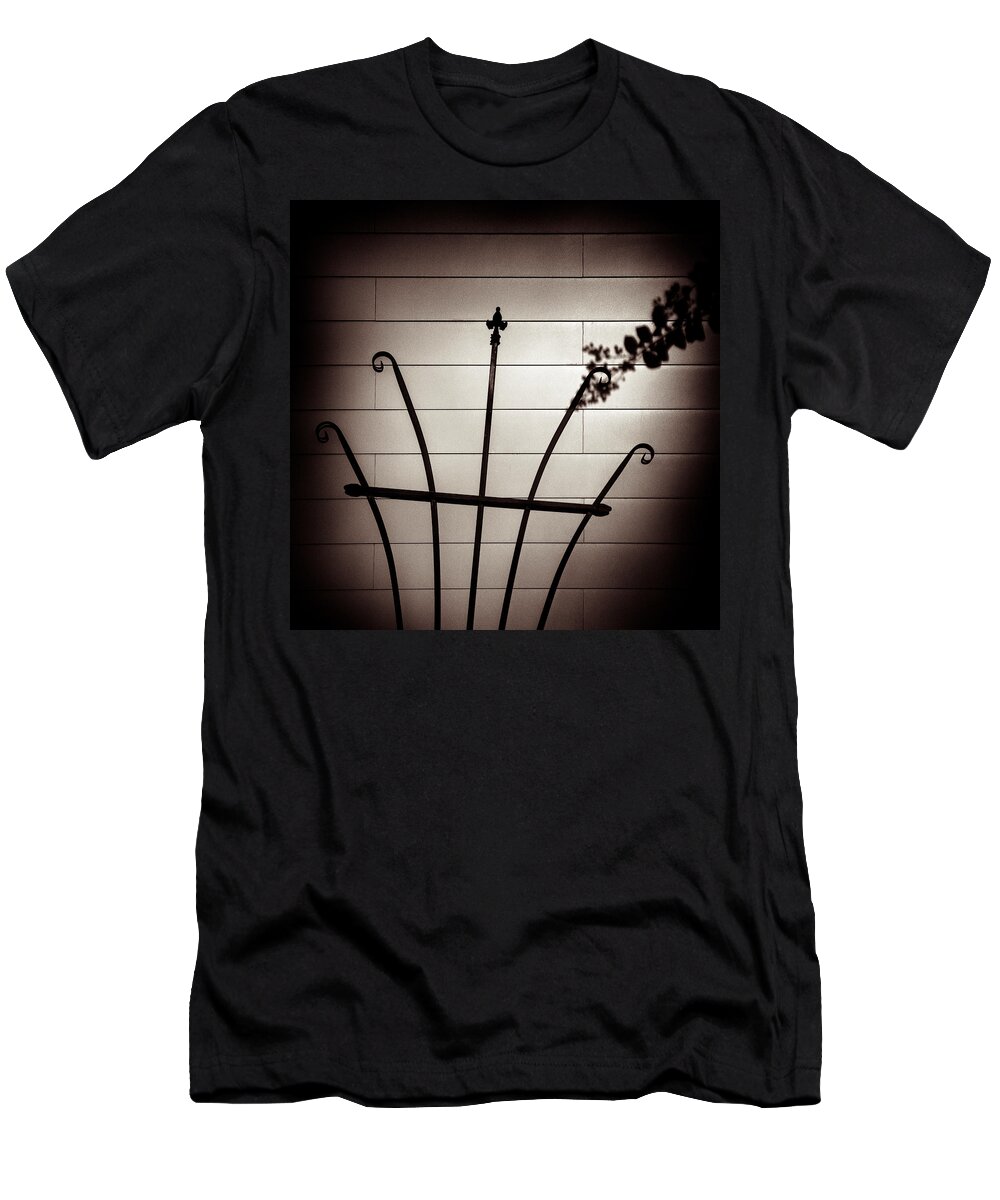 Branch T-Shirt featuring the photograph Touching by Dave Bowman