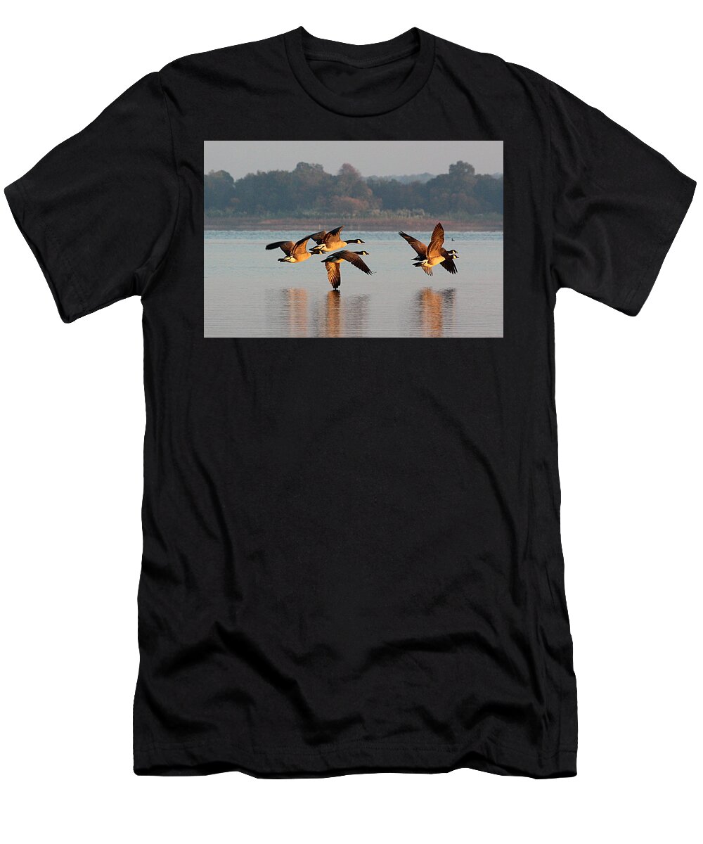 Nature T-Shirt featuring the photograph Touching Down at Sunrise by Sheila Brown