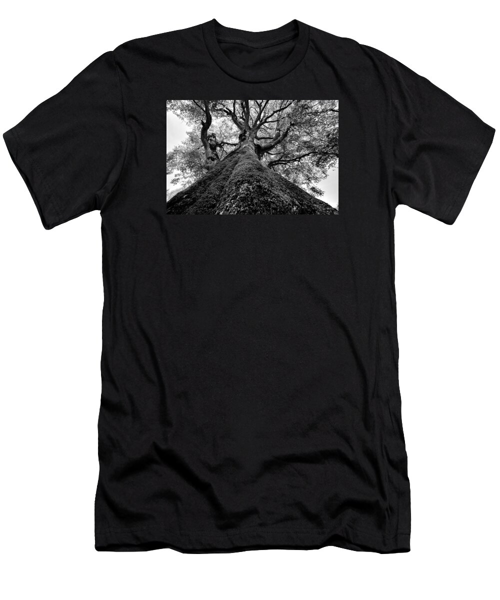 Tree T-Shirt featuring the photograph Tree by Effezetaphoto Fz