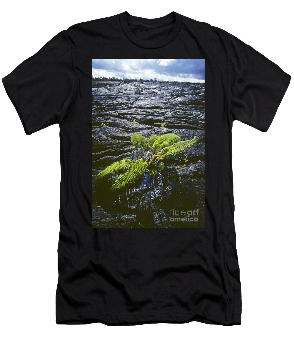 Background T-Shirt featuring the photograph Tree Fern On Lava by Carl Shaneff - Printscapes