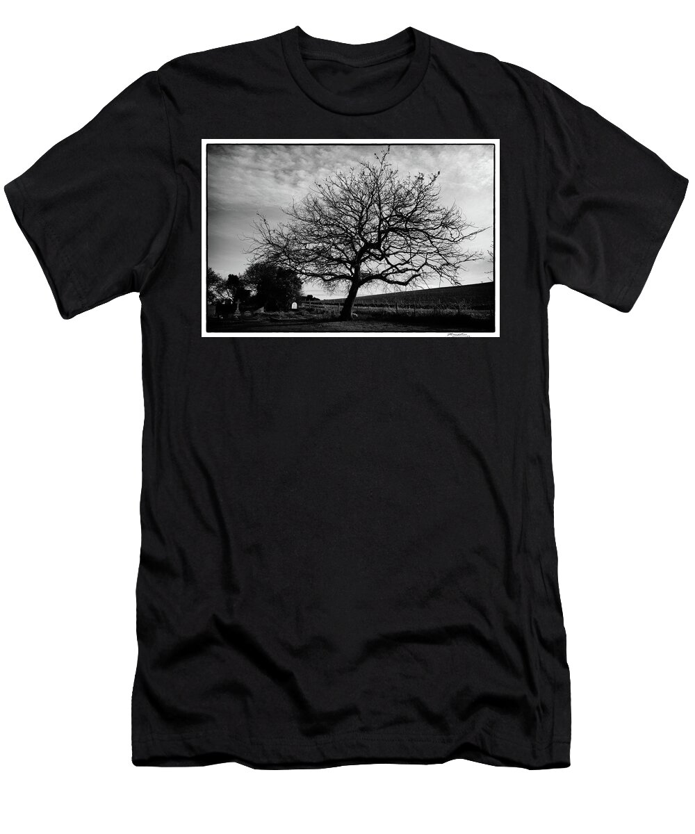 Landscape T-Shirt featuring the photograph Tree in a country cemetery in winter by Frank Lee