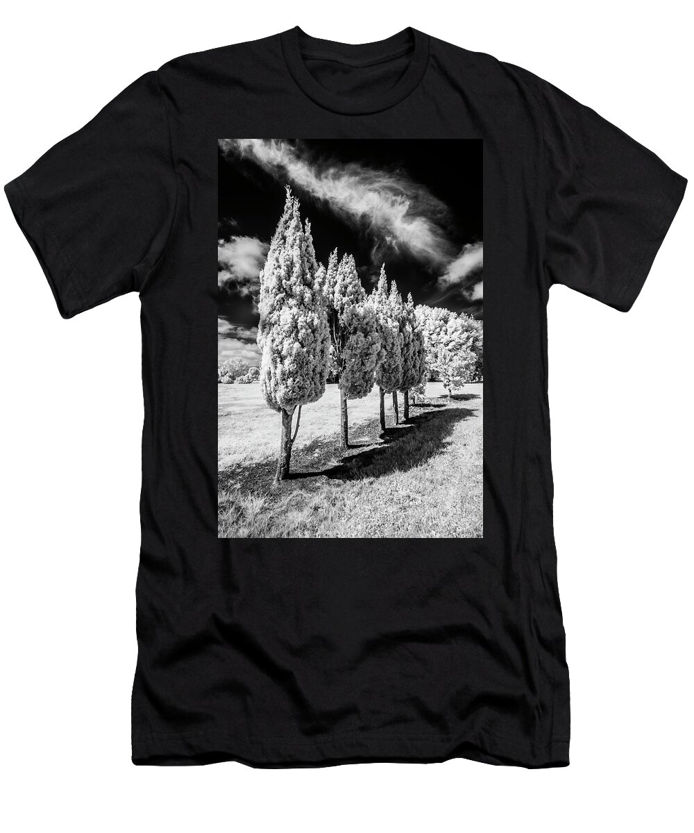 Infrared T-Shirt featuring the photograph Tree Line-Up by Roseanne Jones