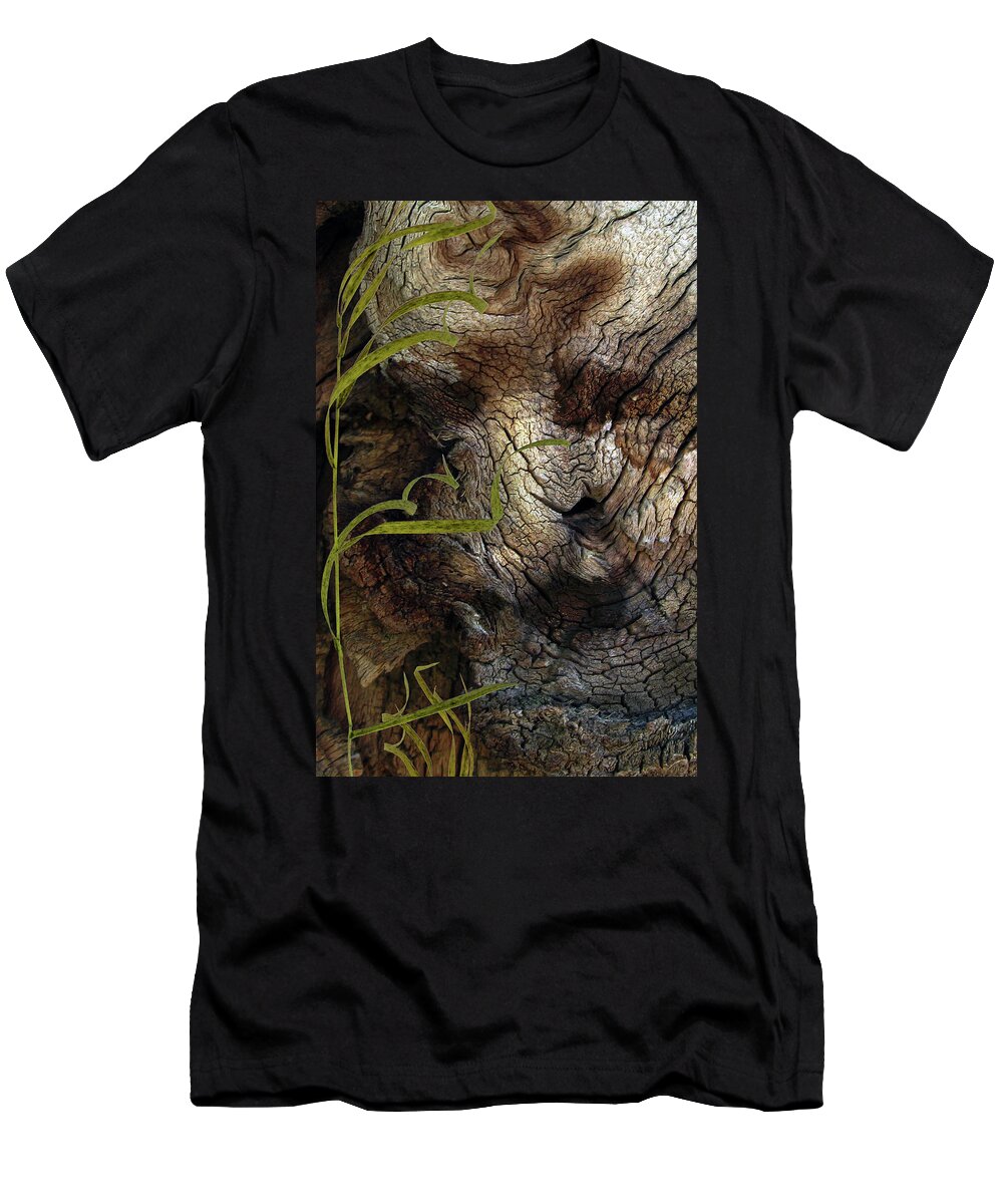 Trees T-Shirt featuring the photograph Tree Memories # 37 by Ed Hall