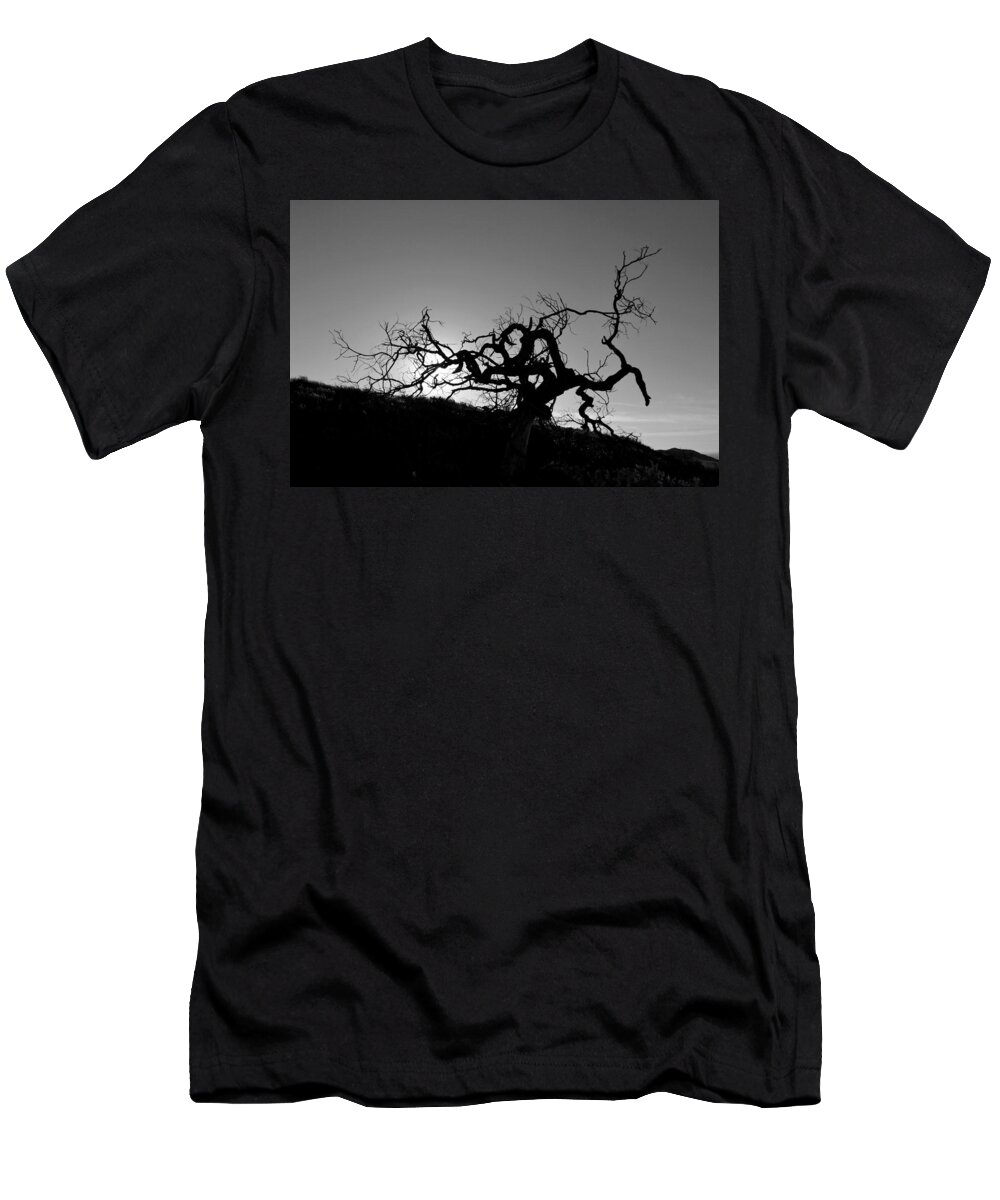 Tree T-Shirt featuring the photograph Tree of Light Silhouette Hillside - Black and White by Matt Quest