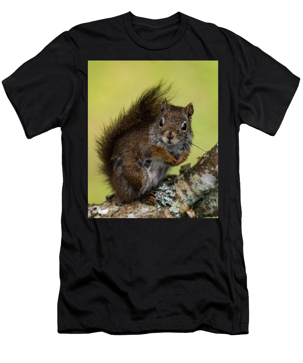 Squirrel T-Shirt featuring the photograph Troublemaker by Jody Partin