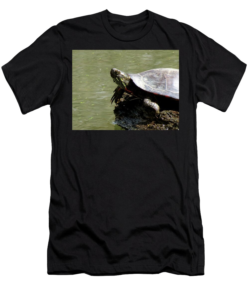 Nature T-Shirt featuring the photograph Turtle Bask by Azthet Photography