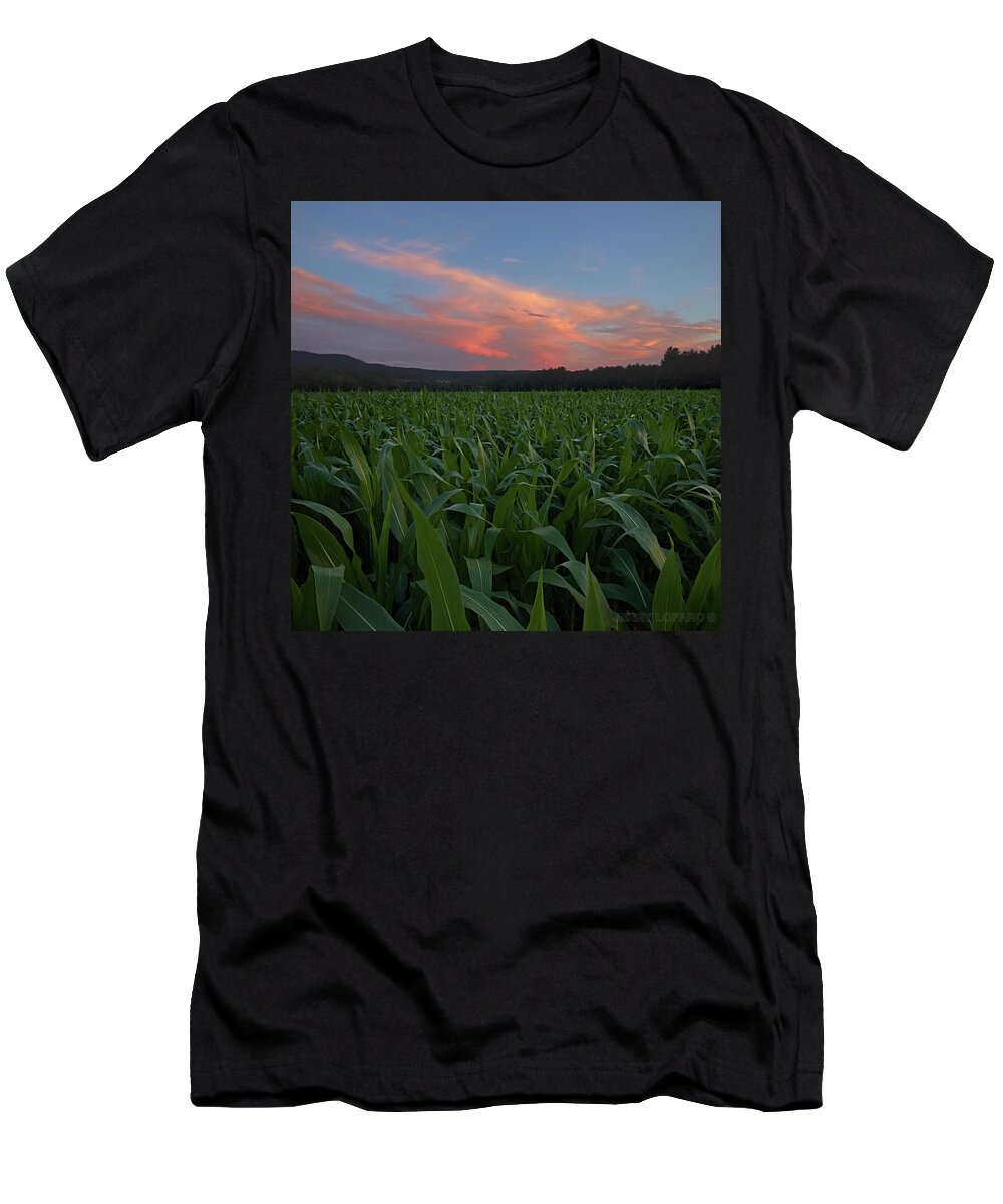 Cornfield T-Shirt featuring the photograph Twilight cornfield by Jerry LoFaro