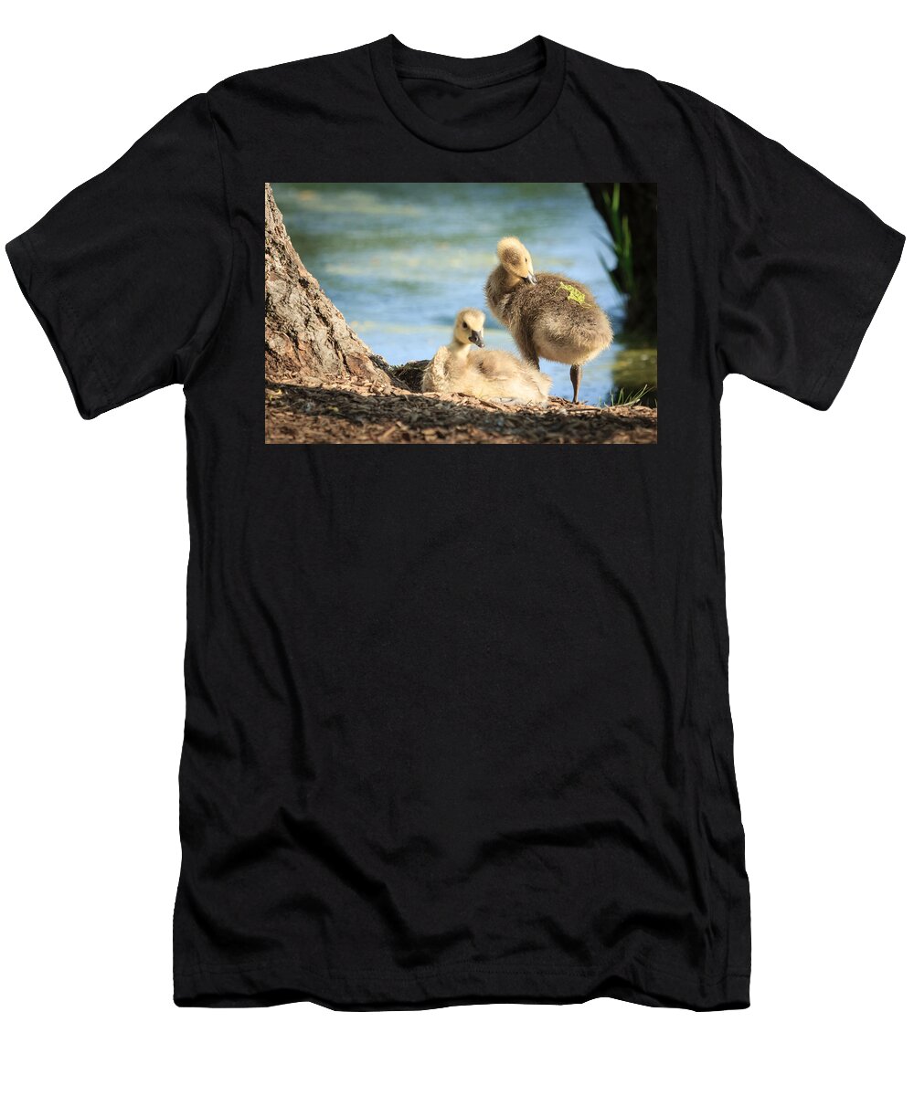 Goose T-Shirt featuring the photograph Two little goslings by Joni Eskridge