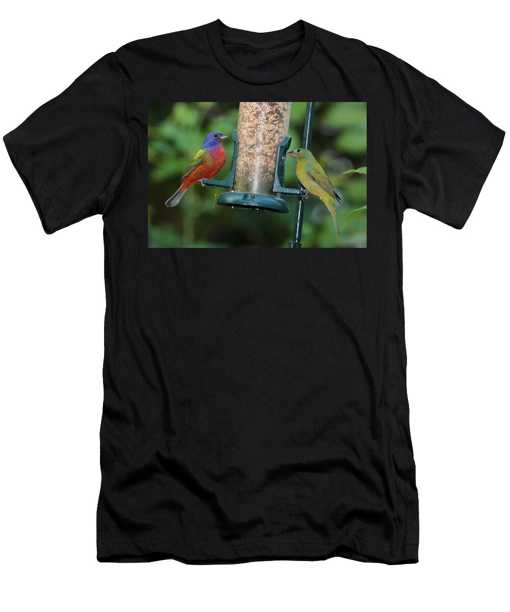 Birds T-Shirt featuring the photograph Two Painted Buntings by Dart Humeston