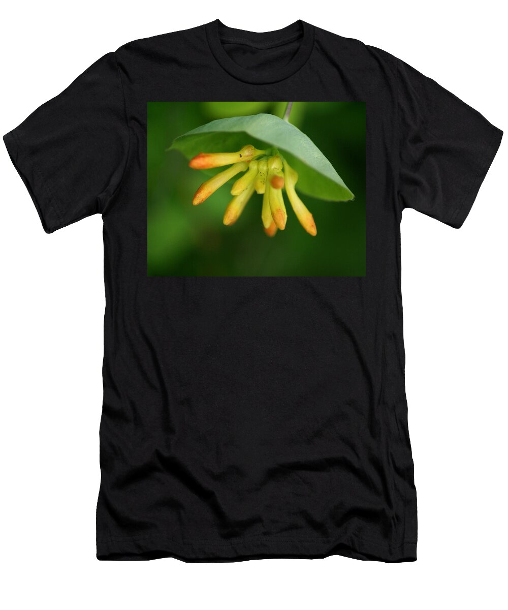 Nature T-Shirt featuring the photograph Umbrella Plant by Ben Upham III