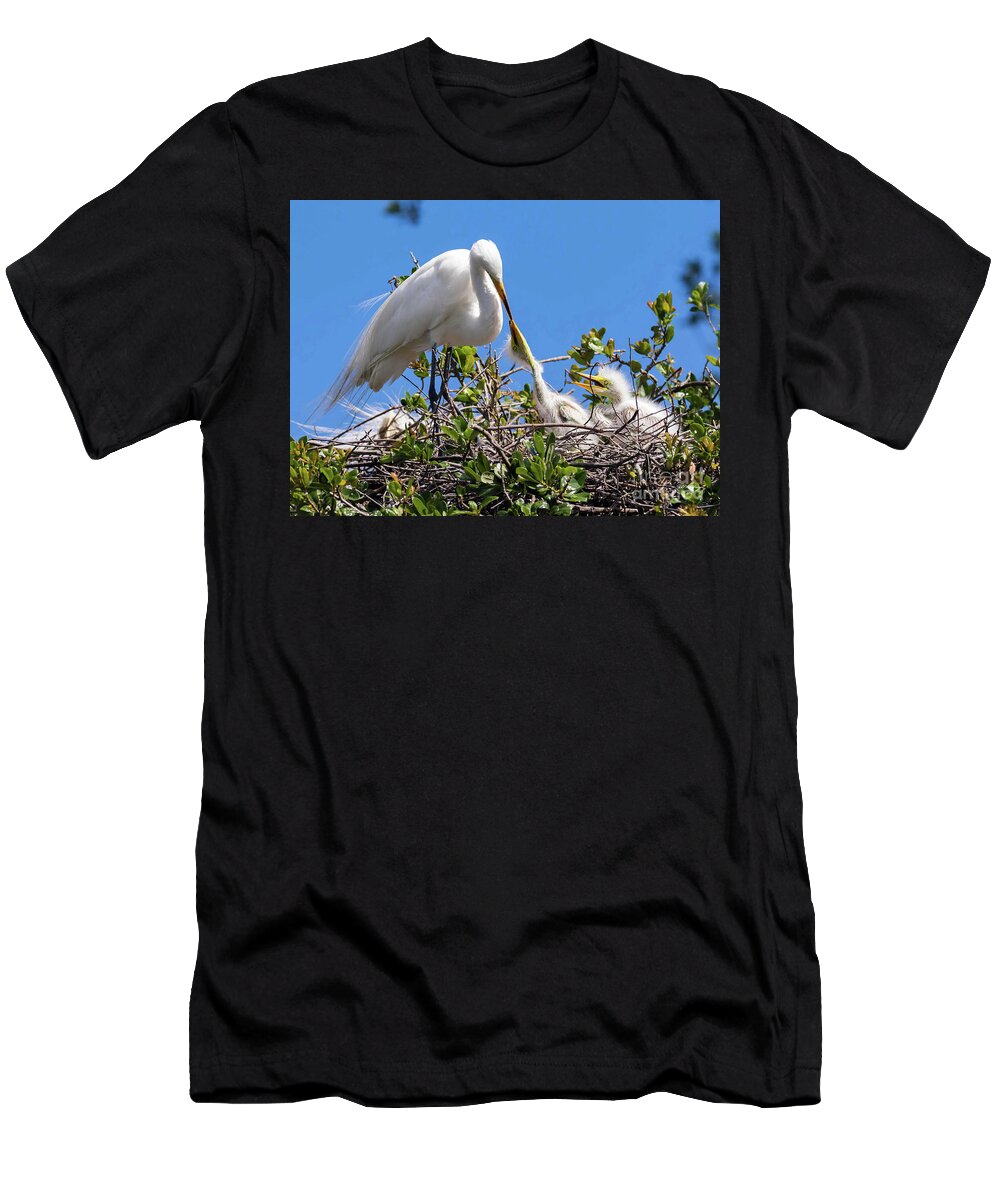 Egrets T-Shirt featuring the photograph Unconditional Love by DB Hayes