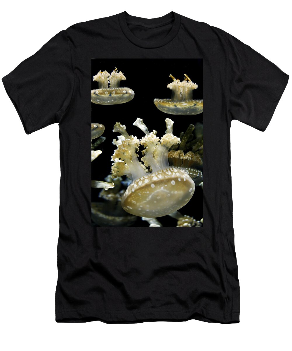 Animal T-Shirt featuring the photograph Underwater Life by Marilyn Hunt