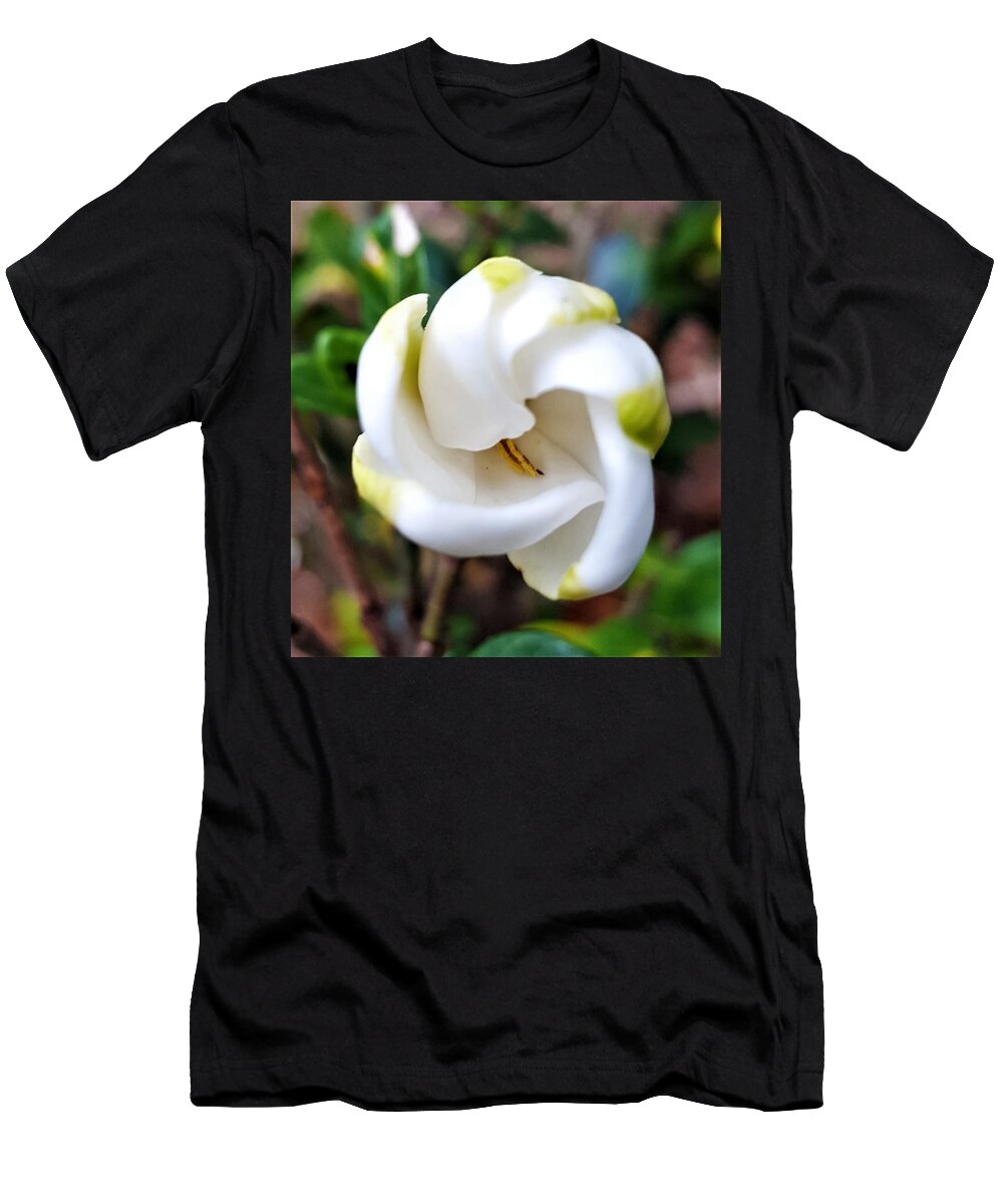 Flower T-Shirt featuring the photograph Unfolding Beauty by Jim Harris
