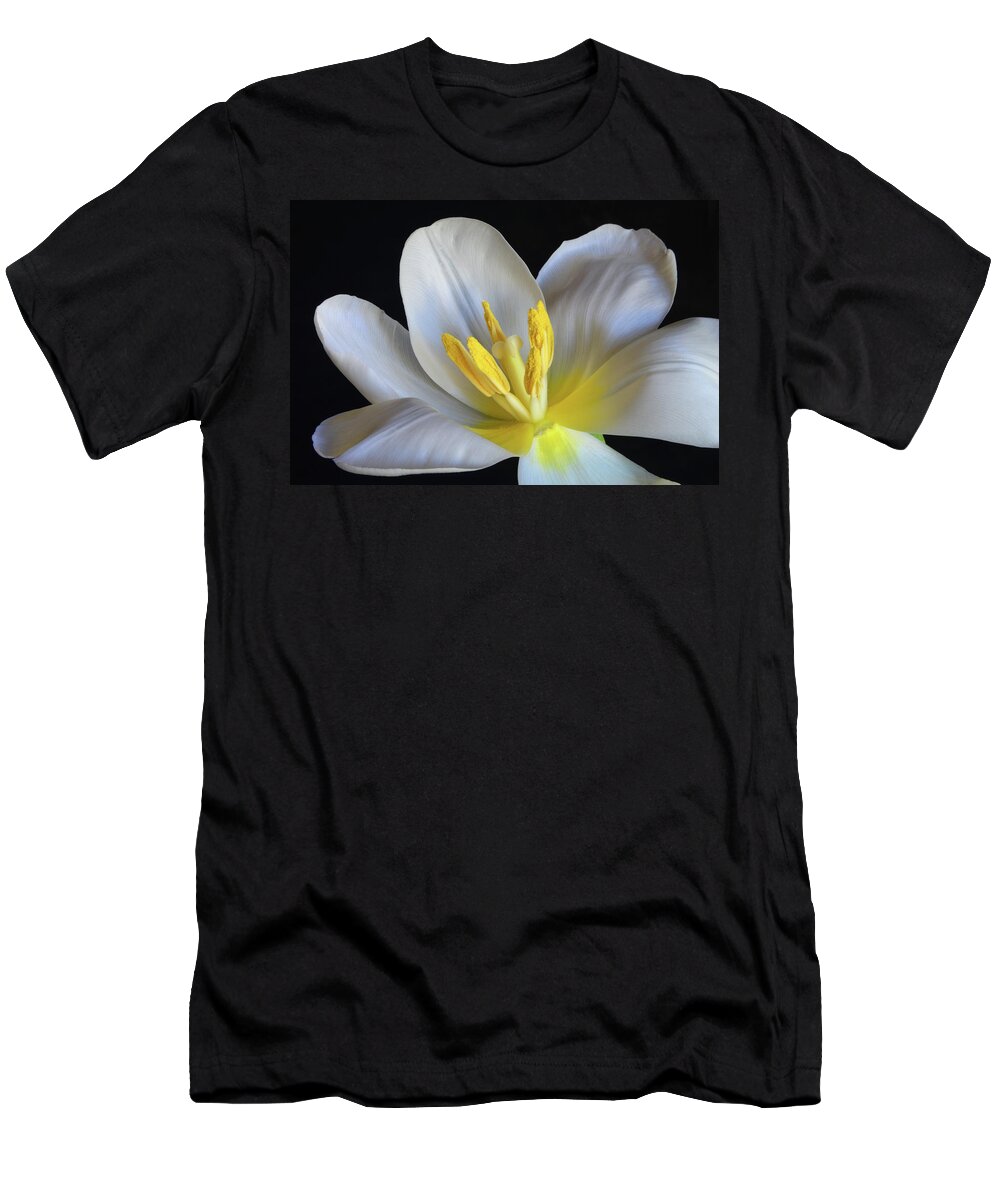 Tulips T-Shirt featuring the photograph Unfolding Tulip. by Terence Davis