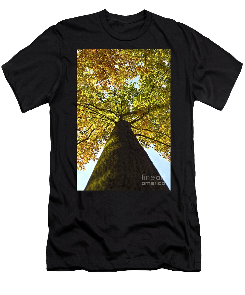 Trees T-Shirt featuring the photograph View to the top by Heiko Koehrer-Wagner