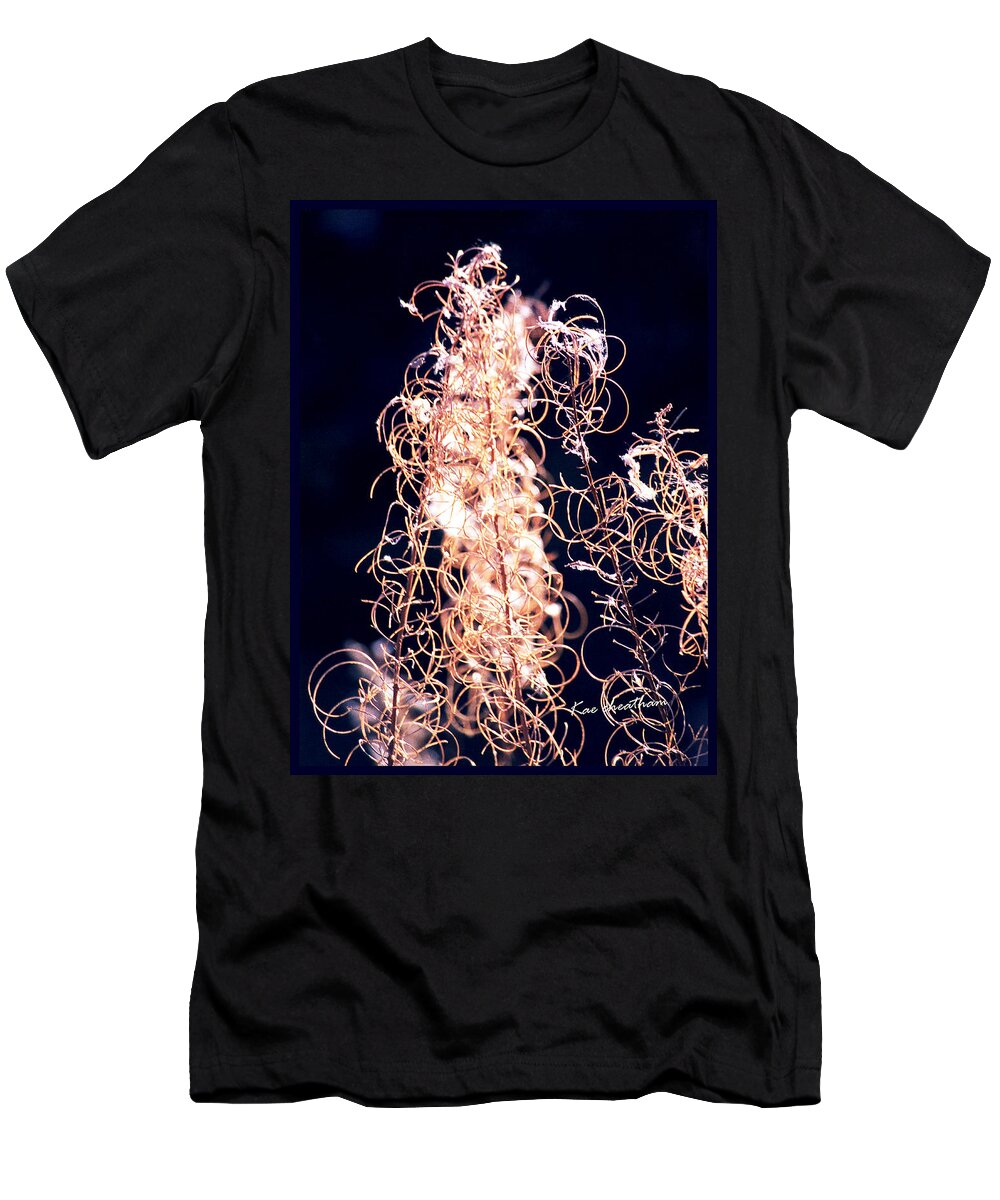 Vines T-Shirt featuring the photograph Vine Circles and Light by Kae Cheatham