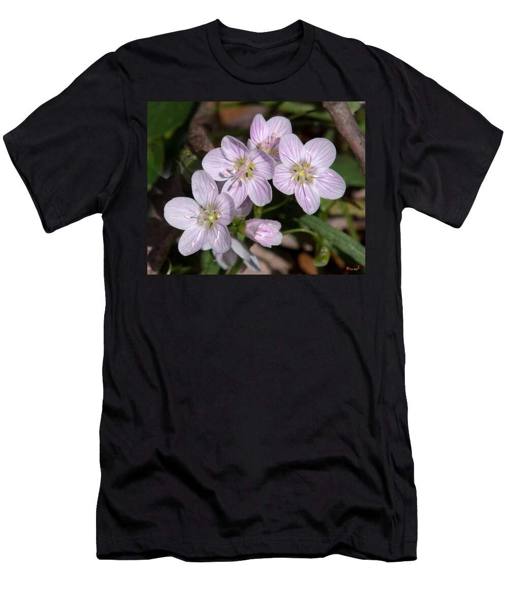 Spring T-Shirt featuring the photograph Virginia or Narrowleaf Spring-Beauty DSPF041 by Gerry Gantt