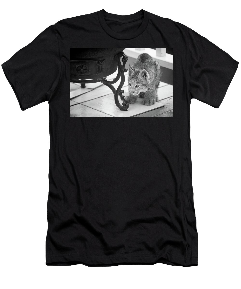 Lynx T-Shirt featuring the photograph Wait For It by Tim Newton