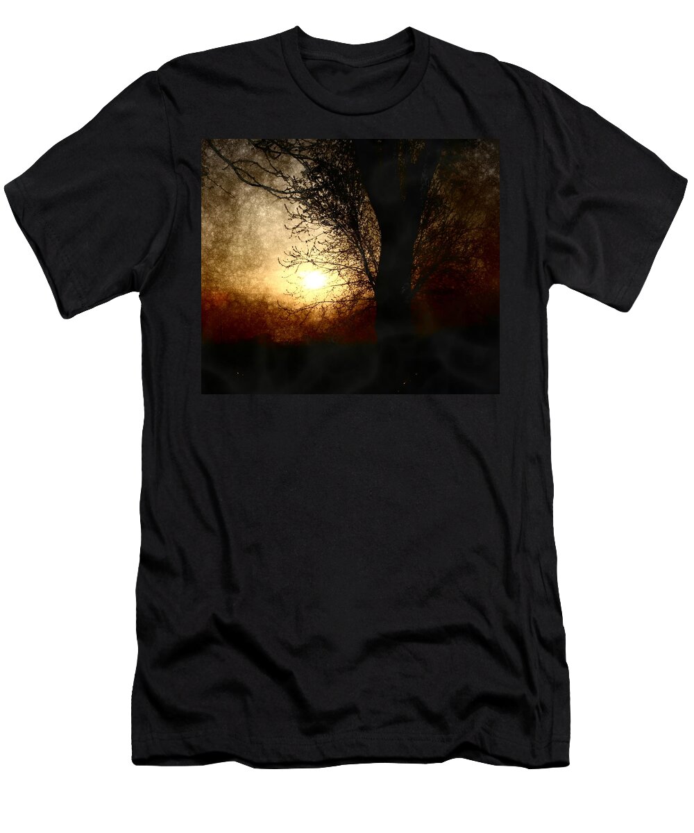 Landscape T-Shirt featuring the photograph Walk Quietly Into the Night with Me. by Julie Lueders 