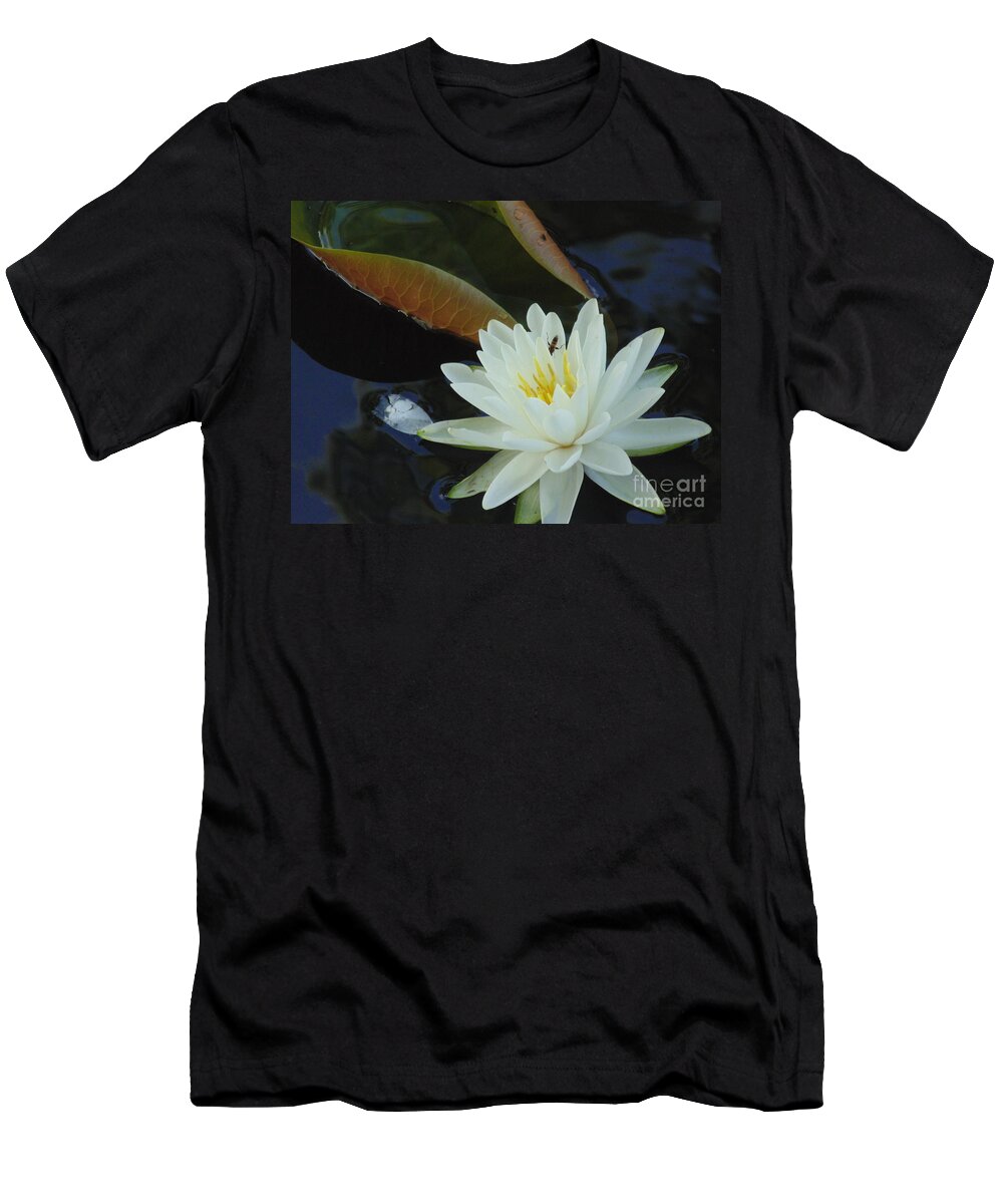 #landscape #water Lily #flower #white Flower Photograph #water Flowers #water Lilies #water Lily Yoga Mat #water Lily Tote Bags T-Shirt featuring the photograph Water Lily by Daun Soden-Greene