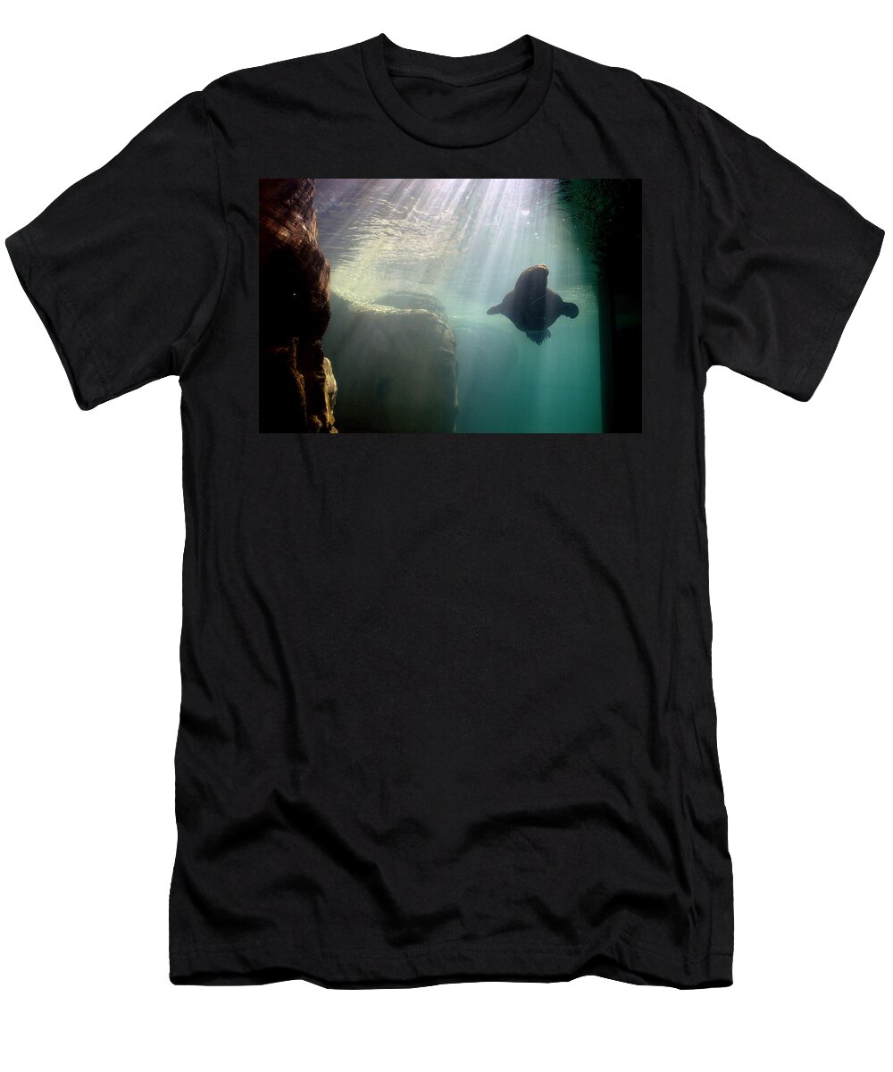 Memphis Zoo T-Shirt featuring the photograph Water World by DArcy Evans