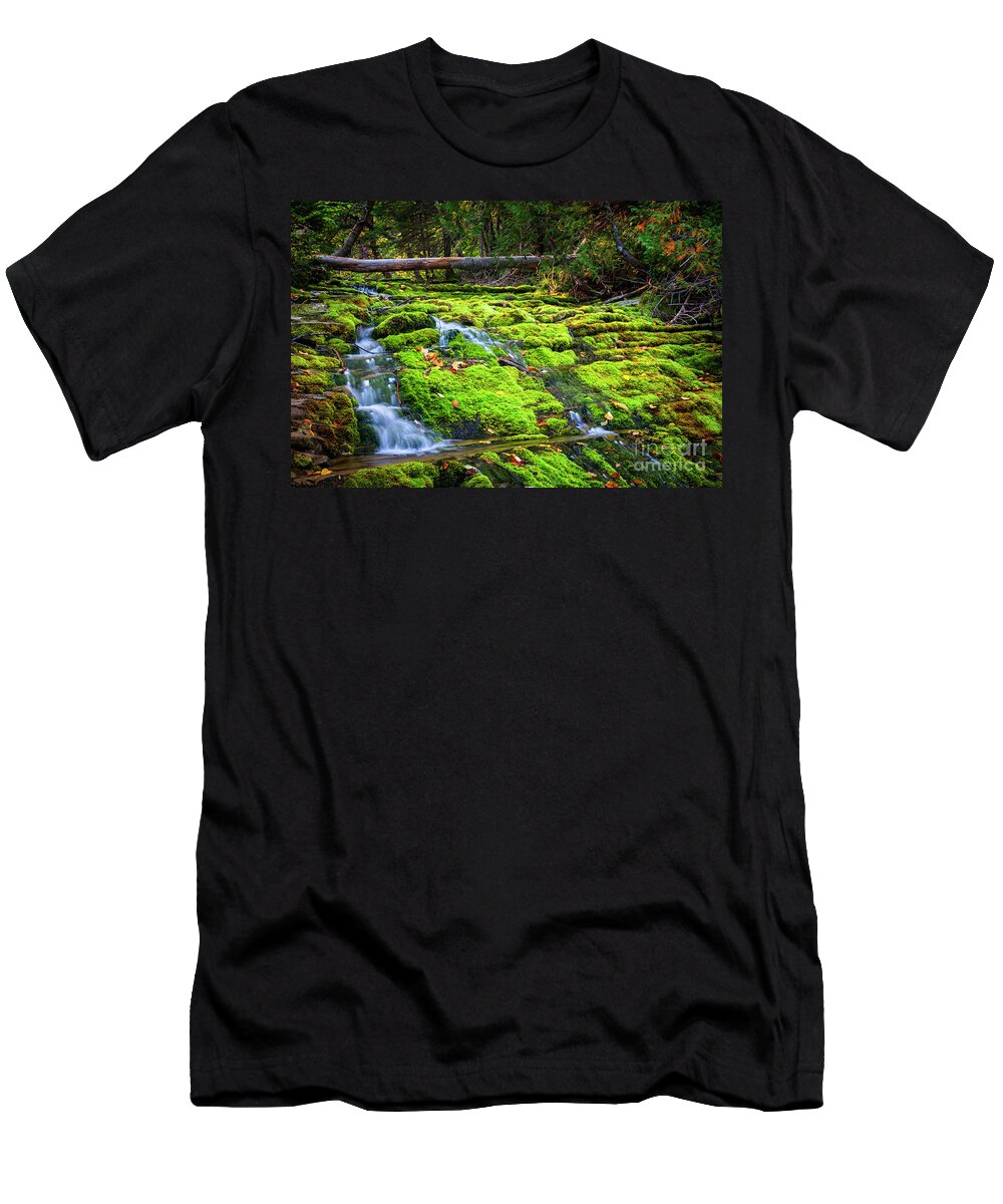 Waterfall T-Shirt featuring the photograph Waterfall over mossy rocks by Elena Elisseeva