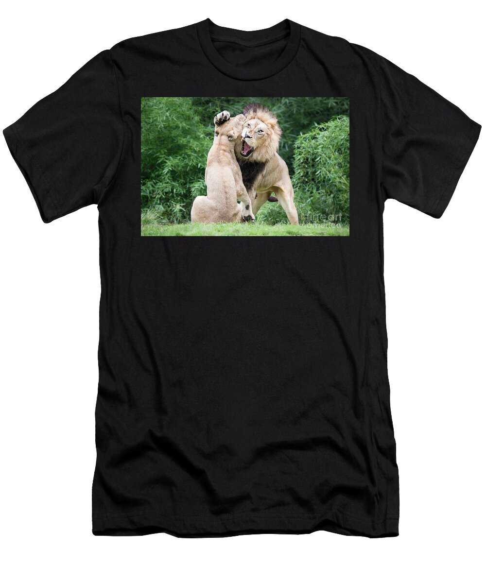 Cincinnati Zoo T-Shirt featuring the photograph We Are Only Playing by Ed Taylor