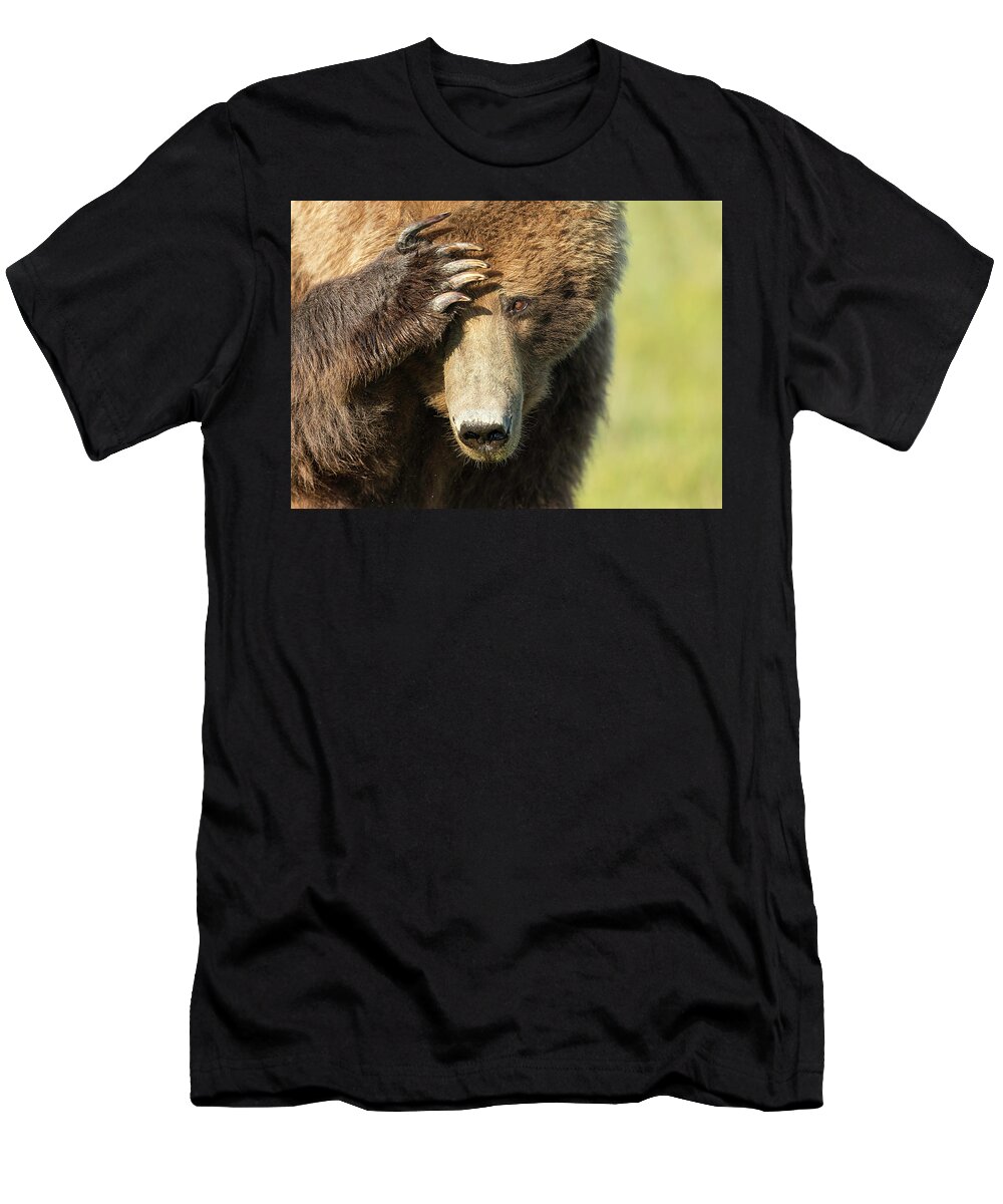 Grizzly Bear T-Shirt featuring the photograph Where Are My Shades? by Mark Harrington