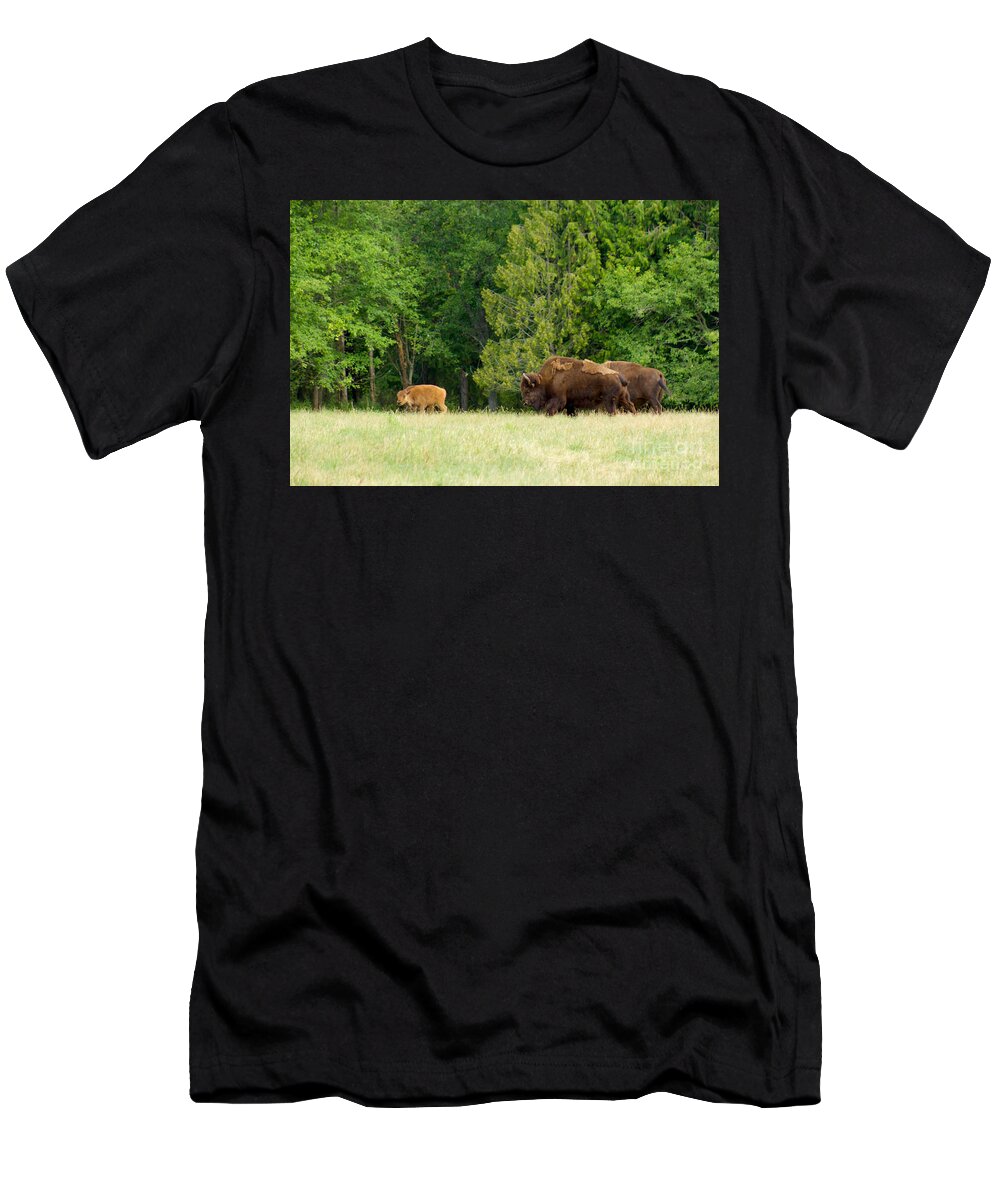 Photography T-Shirt featuring the photograph Where the Buffalo Roam by Sean Griffin